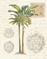 Vintage Palm Study I Fine Art Print