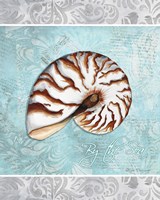 10" x 12" Seashell Art