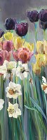 Grape Tulips Panel I Fine Art Print