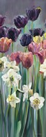 Grape Tulips Panel II Fine Art Print