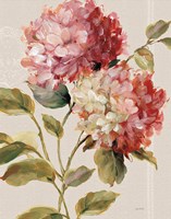 Harmonious Hydrangeas Linen Fine Art Print