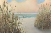 Beach Trail I by James Wiens - various sizes