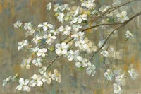 Dogwood in Spring Fine Art Print