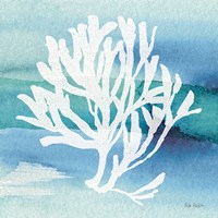 Sea Life Coral I Fine Art Print