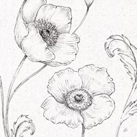 Blossom Sketches I Fine Art Print