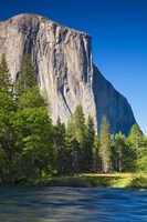 El Capitan and Merced River Yosemite NP, CA Fine Art Print