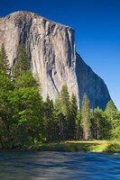 El Capitan and Merced River Yosemite NP, CA Framed Print