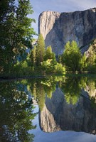 El Capitan reflected in Merced River Yosemite NP, CA Fine Art Print