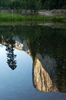 Reflection of El Capitan in Mercede River, Yosemite National Park, California - Vertical by Jaynes Gallery - various sizes