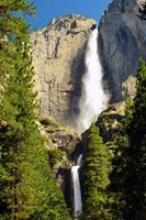 Upper and Lower Yosemite Falls, Merced River, Yosemite NP, California by Michel Hersen - various sizes