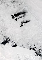 Balleny Islands, near Antarctica Fine Art Print