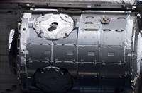 The Harmony Node in the Payload Bay of Space Shuttle Discovery Fine Art Print