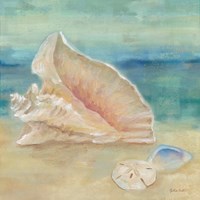 Horizon Shells III Fine Art Print