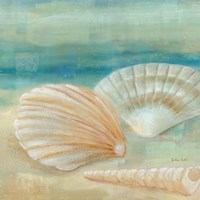 Horizon Shells IV Framed Print