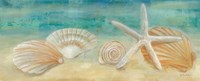 Horizon Shells Panel I by Cynthia Coulter - various sizes - $17.49