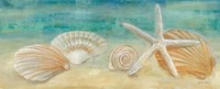 Horizon Shells Panel I Fine Art Print