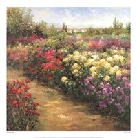 Bienfaisant II Fine Art Print