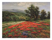 Meadow of Wildflower Fine Art Print
