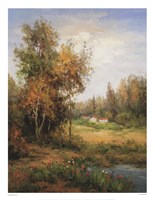 Poppies Pond Fine Art Print