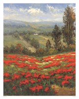 Poppy Vista II Fine Art Print