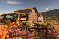 Log Barn and Fruit Stand in Autumn, British Columbia, Canada Fine Art Print
