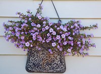 British Columbia, Victoria, Decor on House boats Fine Art Print