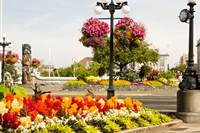 Hanging Flower Baskets, Victoria, BC by Stuart Westmorland - various sizes