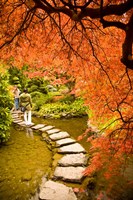 Japanese Garden, Butchart Gardens, Victoria, BC by Stuart Westmorland - various sizes