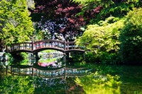 British Columbia, Vancouver, Hately Gardens bridge Fine Art Print