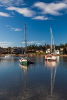 Comox Harbor, Vancouver Island, British Columbia, Canada Fine Art Print