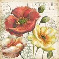 Spice Poppies Histoire Naturelle I Fine Art Print