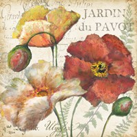 Spice Poppies Histoire Naturelle II Fine Art Print