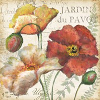 Spice Poppies Histoire Naturelle II Fine Art Print