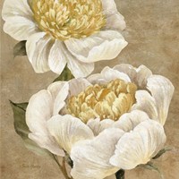 Up Close Cream Peony Fine Art Print