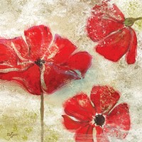 Poppy Passion I Fine Art Print