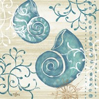 Tranquil Shell II Fine Art Print