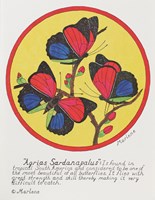 Agrias Sardanaplaus Fine Art Print