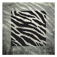 Animal Instinct Zebra Framed Print