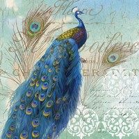 Le Plume I Fine Art Print