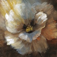 Blooming II Fine Art Print