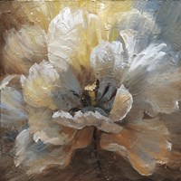 Blooming III Framed Print