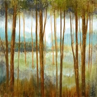 Soft Forest I Fine Art Print