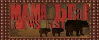 Don't Feed Mama Bear I Fine Art Print