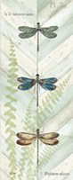 Dragonfly Botanical Panels I Fine Art Print
