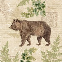 Woodland Trail II (Bear) Fine Art Print