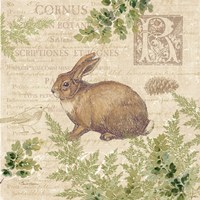Woodland Trail IV (Rabbit) Framed Print