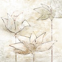 Floral Sketch I Fine Art Print