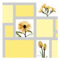 Mondrian Flowers 2 by Albert Koetsier - 13" x 13", FulcrumGallery.com brand