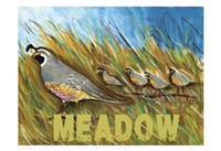 High Country Meadow Fine Art Print