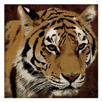 Tiger 2 Framed Print